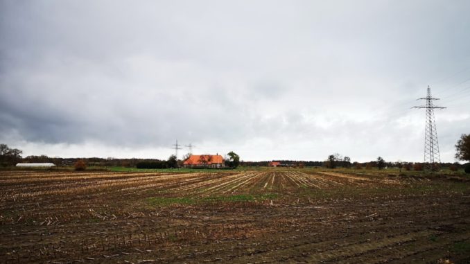 IMG_20201122_104832_1