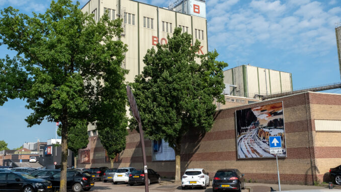 Kunst Molenhof 2025 02